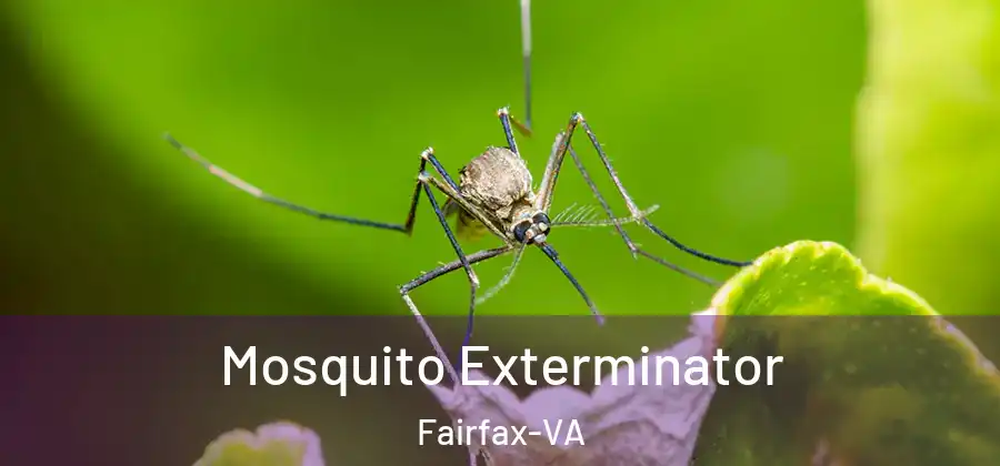 Mosquito Exterminator Fairfax-VA