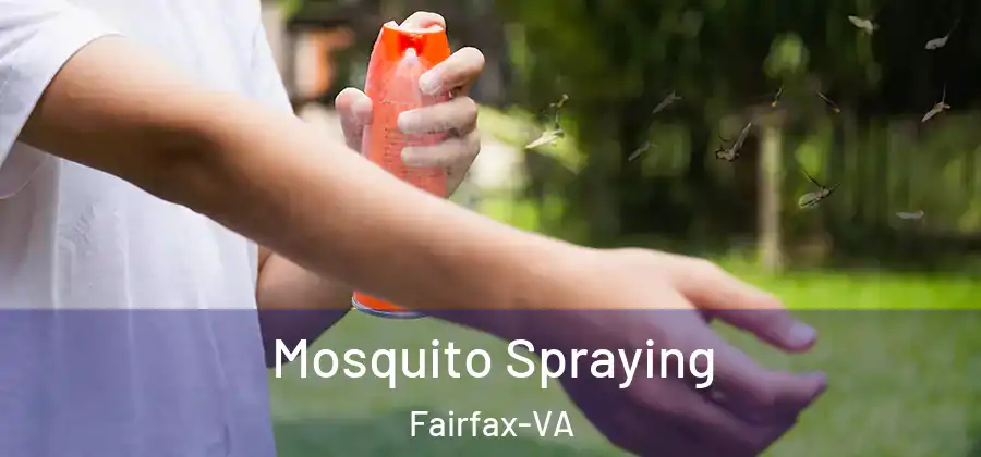 Mosquito Spraying Fairfax-VA