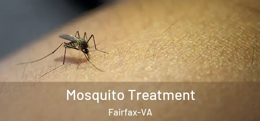 Mosquito Treatment Fairfax-VA