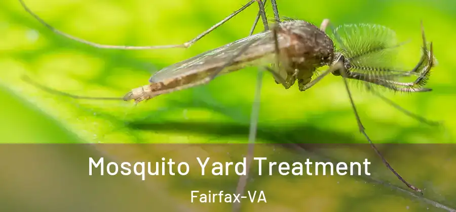 Mosquito Yard Treatment Fairfax-VA