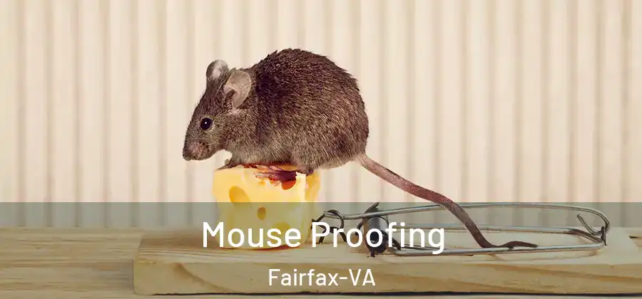 Mouse Proofing Fairfax-VA