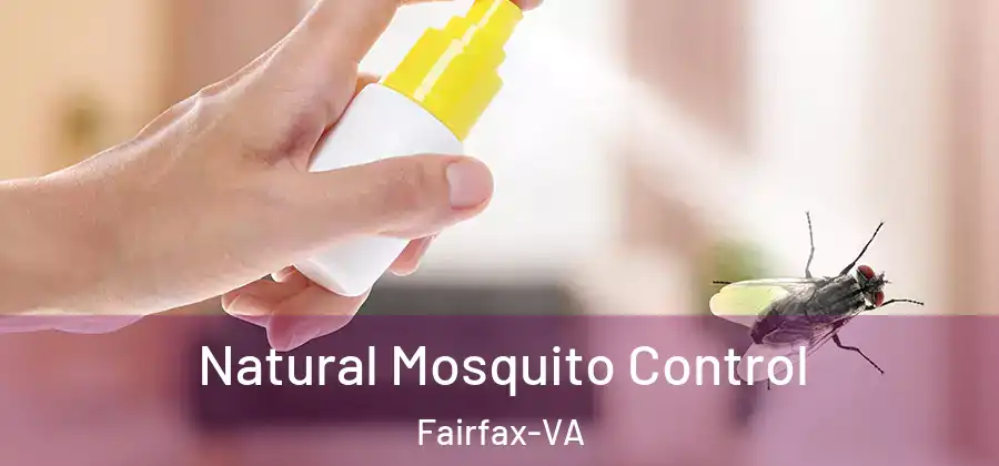 Natural Mosquito Control Fairfax-VA