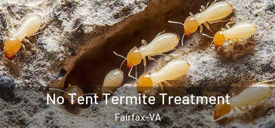 No Tent Termite Treatment Fairfax-VA