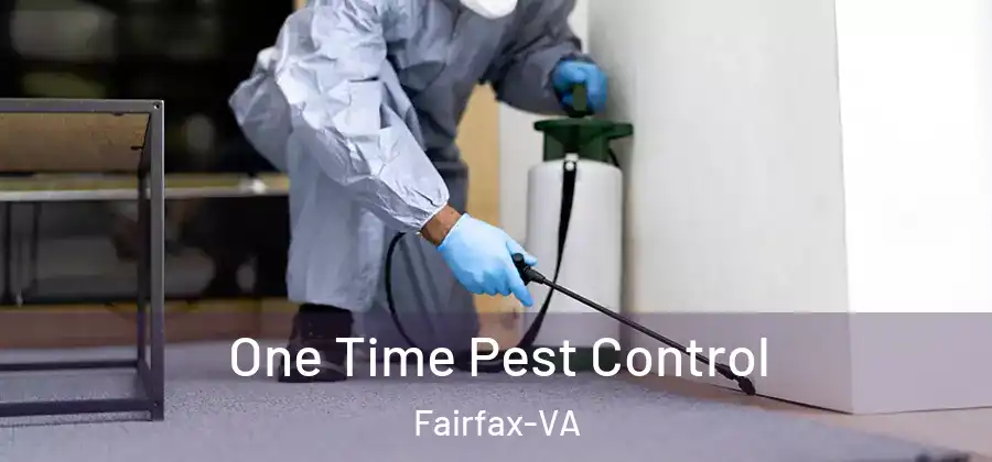 One Time Pest Control Fairfax-VA