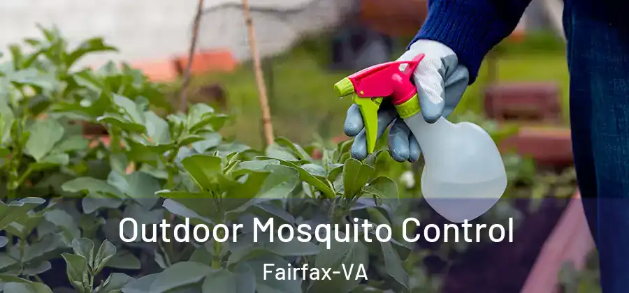 Outdoor Mosquito Control Fairfax-VA