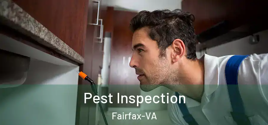 Pest Inspection Fairfax-VA