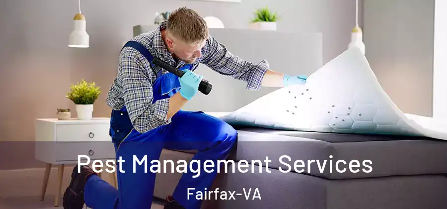 Pest Management Services Fairfax-VA