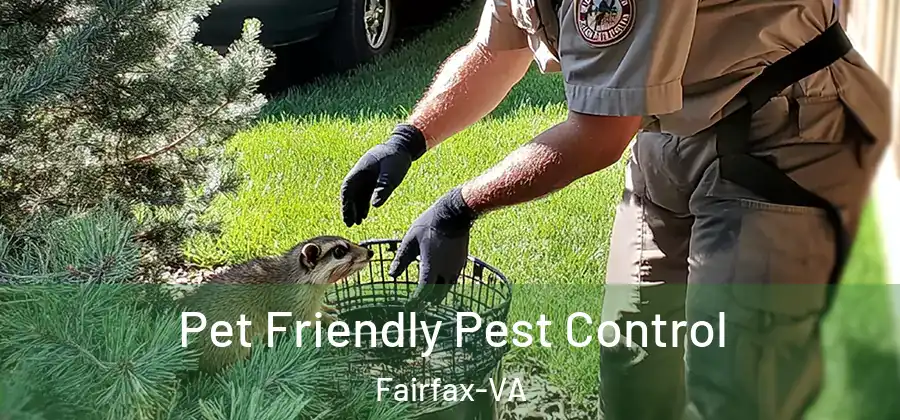 Pet Friendly Pest Control Fairfax-VA