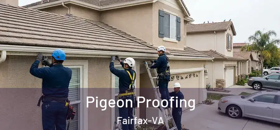 Pigeon Proofing Fairfax-VA