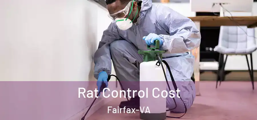Rat Control Cost Fairfax-VA