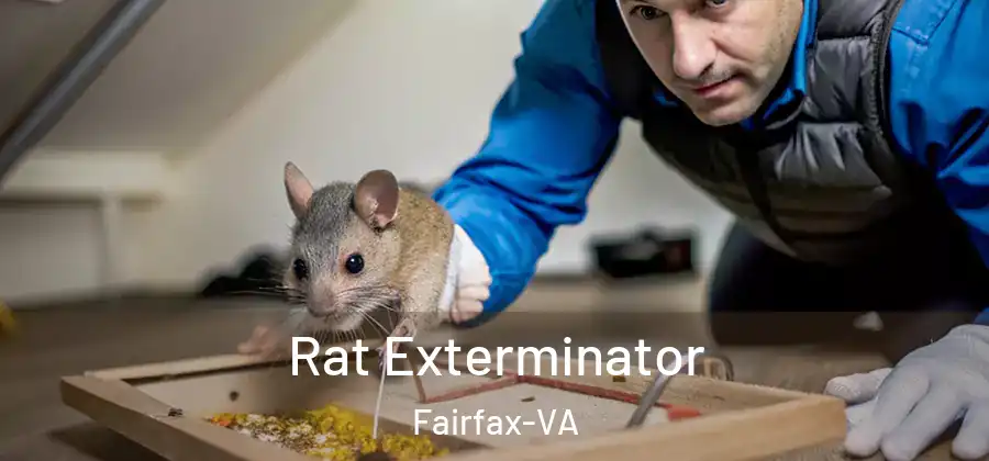 Rat Exterminator Fairfax-VA