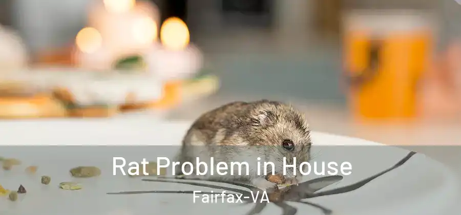 Rat Problem in House Fairfax-VA