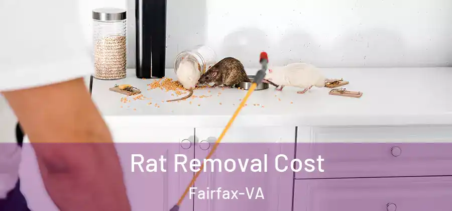 Rat Removal Cost Fairfax-VA