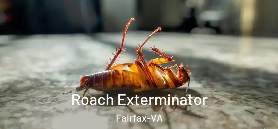 Roach Exterminator Fairfax-VA