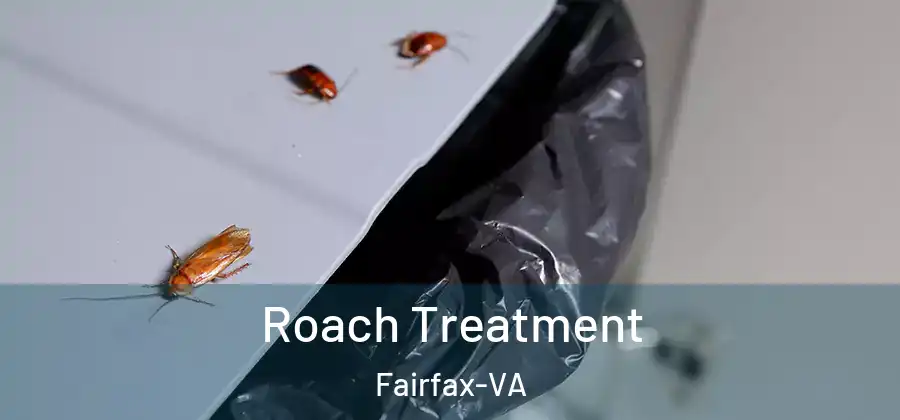 Roach Treatment Fairfax-VA