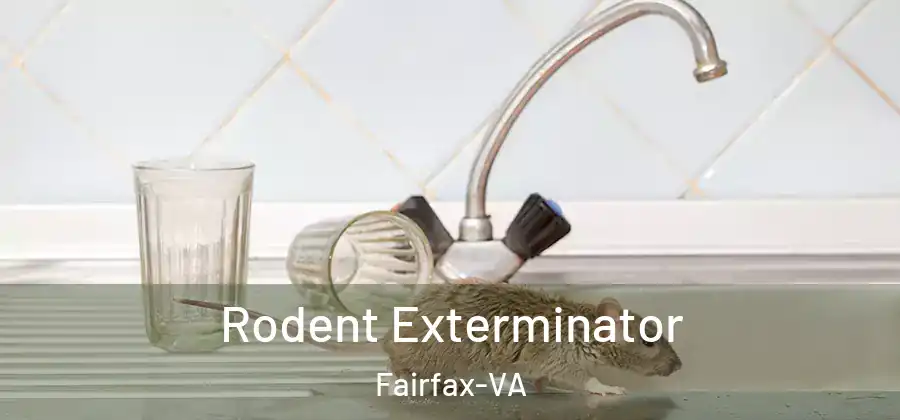 Rodent Exterminator Fairfax-VA