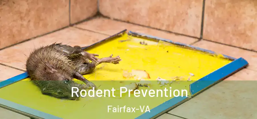 Rodent Prevention Fairfax-VA