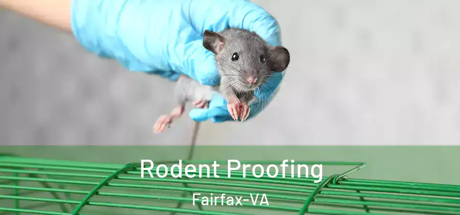 Rodent Proofing Fairfax-VA