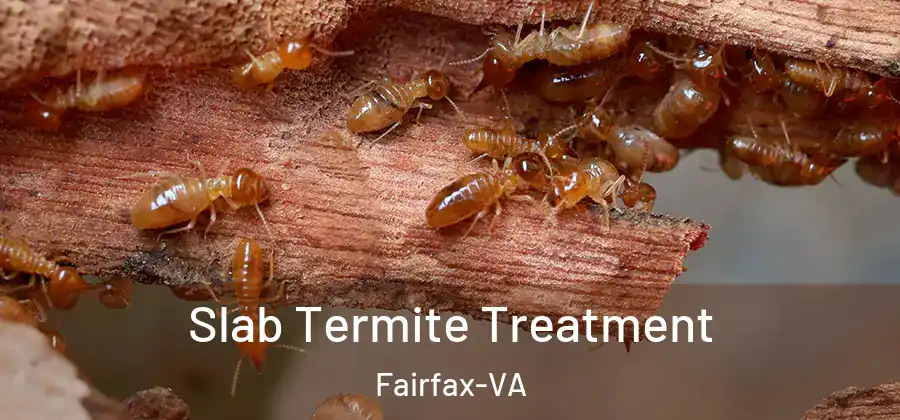 Slab Termite Treatment Fairfax-VA