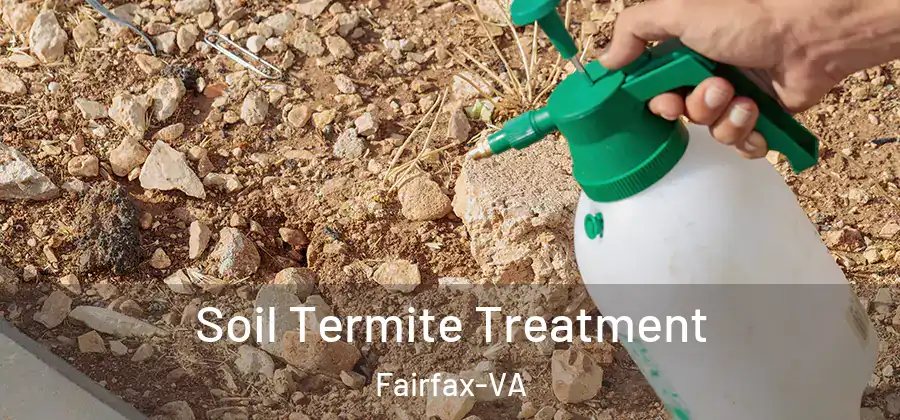 Soil Termite Treatment Fairfax-VA