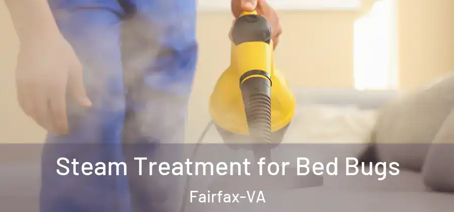 Steam Treatment for Bed Bugs Fairfax-VA