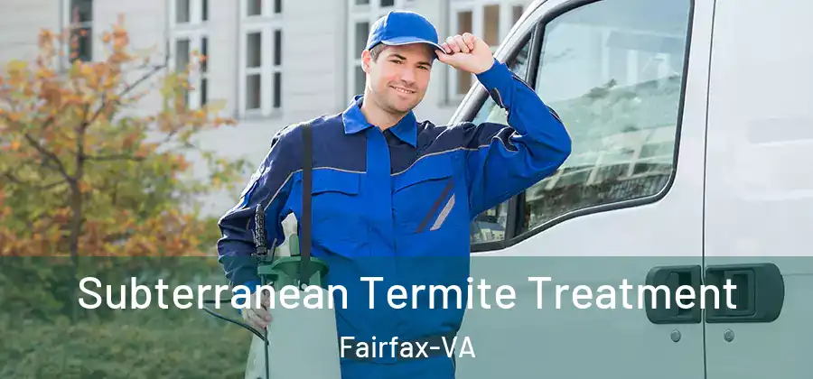 Subterranean Termite Treatment Fairfax-VA