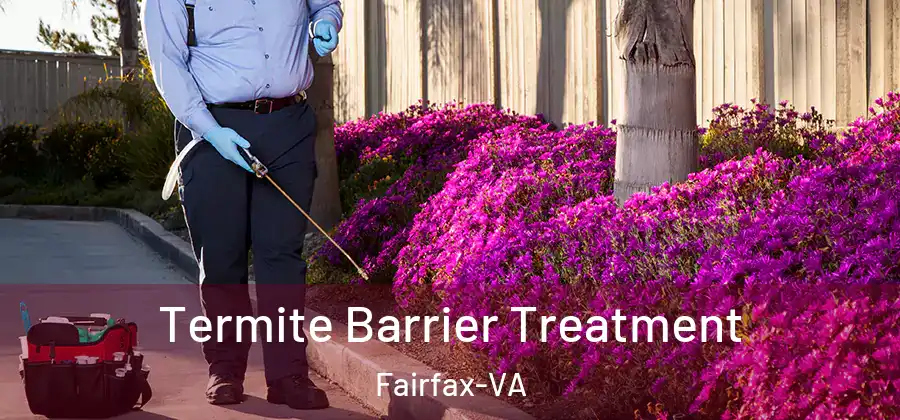 Termite Barrier Treatment Fairfax-VA
