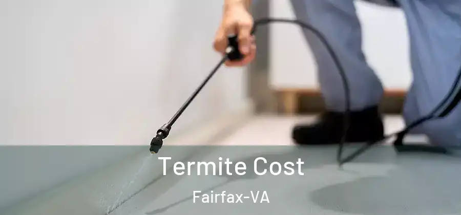 Termite Cost Fairfax-VA