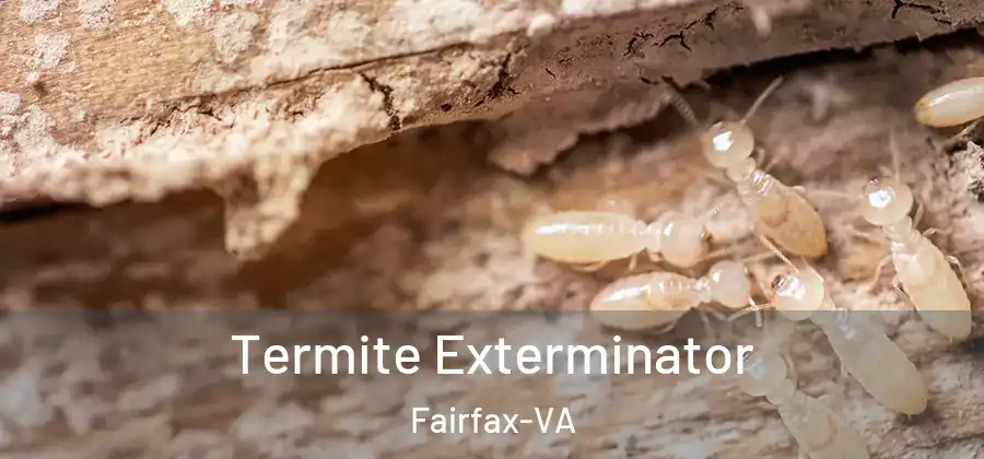 Termite Exterminator Fairfax-VA