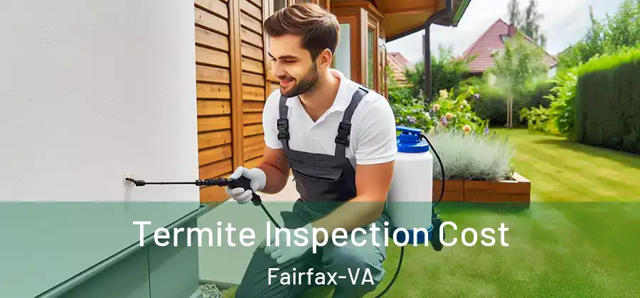 Termite Inspection Cost Fairfax-VA