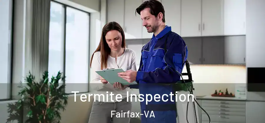 Termite Inspection Fairfax-VA