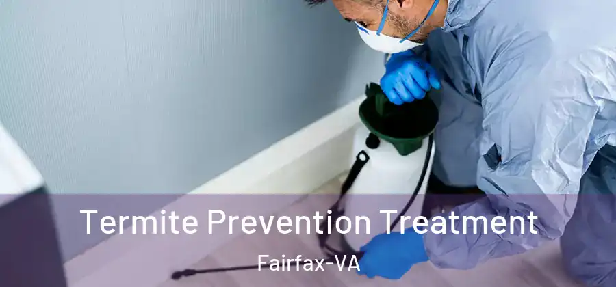 Termite Prevention Treatment Fairfax-VA
