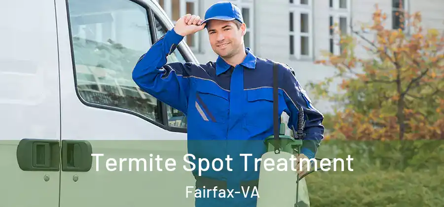 Termite Spot Treatment Fairfax-VA