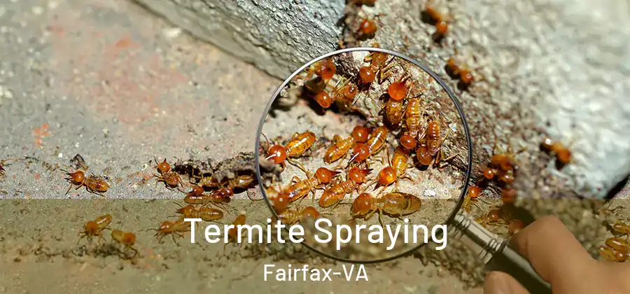 Termite Spraying Fairfax-VA
