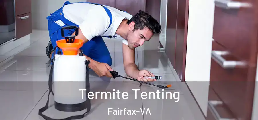 Termite Tenting Fairfax-VA