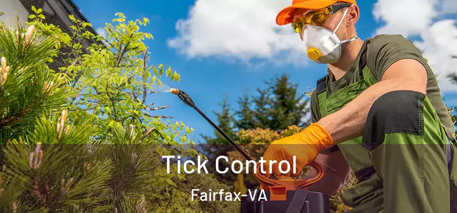 Tick Control Fairfax-VA