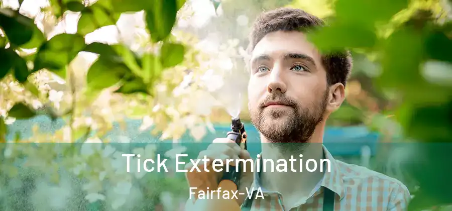 Tick Extermination Fairfax-VA