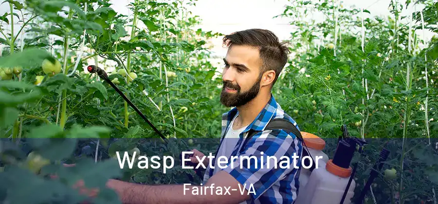Wasp Exterminator Fairfax-VA