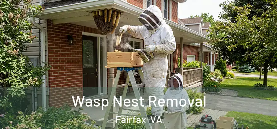 Wasp Nest Removal Fairfax-VA