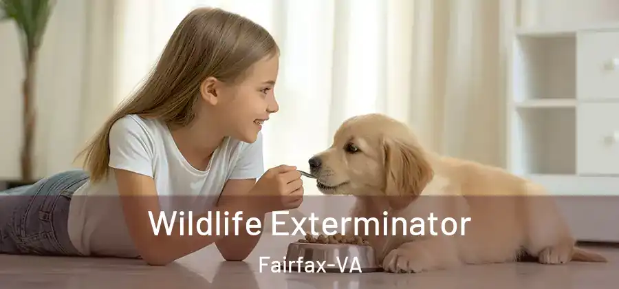 Wildlife Exterminator Fairfax-VA