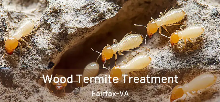Wood Termite Treatment Fairfax-VA