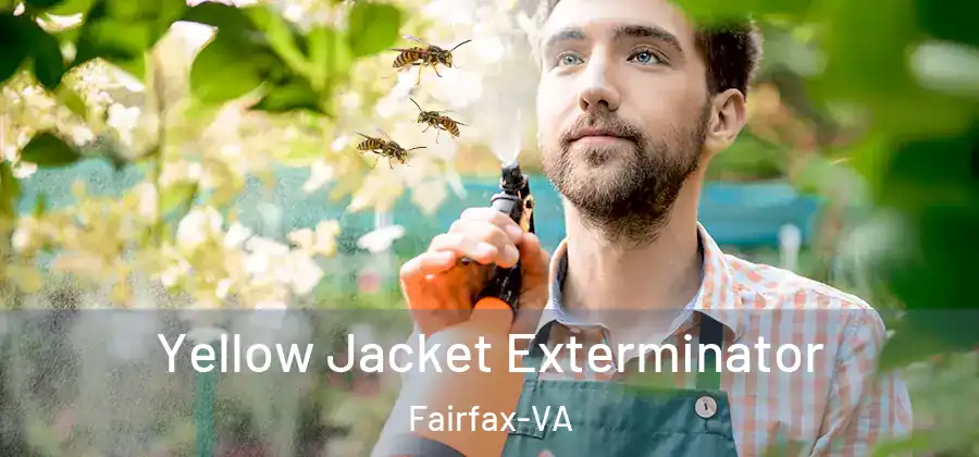 Yellow Jacket Exterminator Fairfax-VA